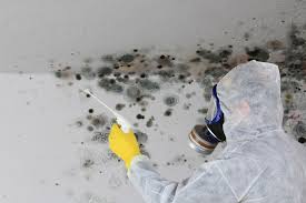 Asbestos and Lead Testing During Mold Inspection